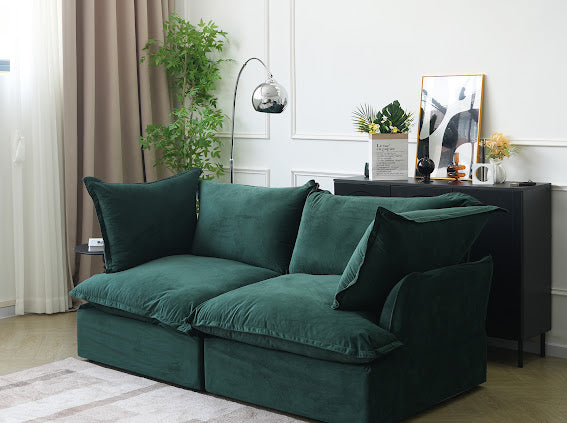 Anora Velvet Modular Classic Cloud Sofa - Loveseat